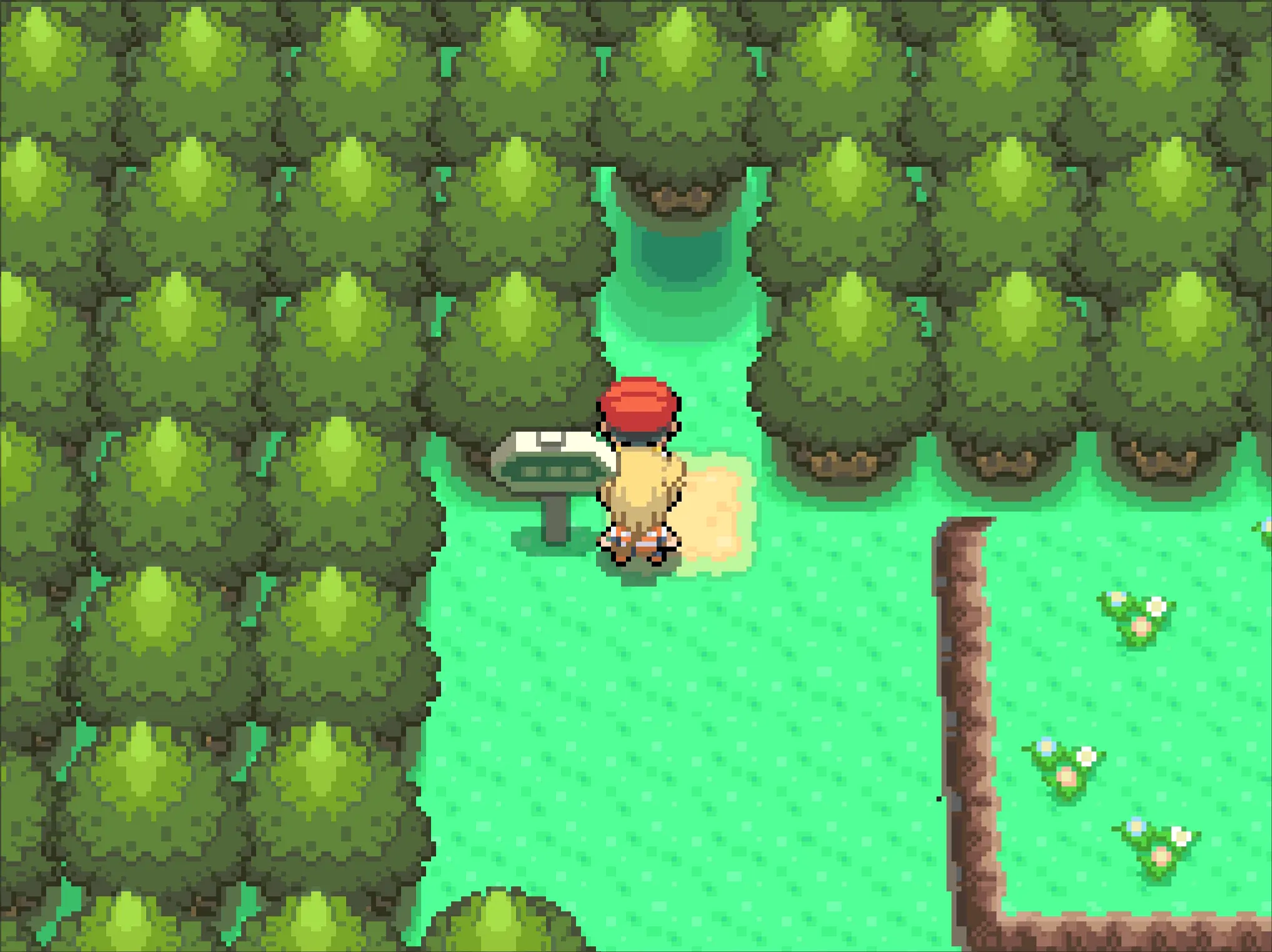 Diamond, Pearl, and Platinum save location