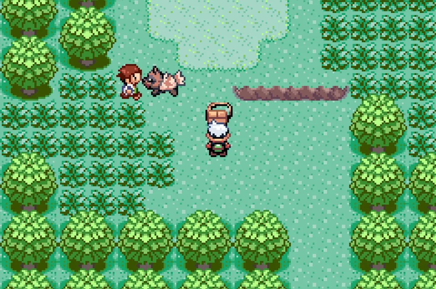 Game Image of starter bag