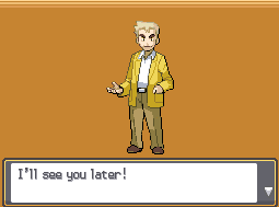HGSS Final Screen
