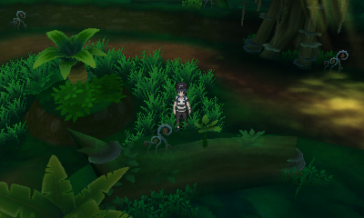 Lush Jungle