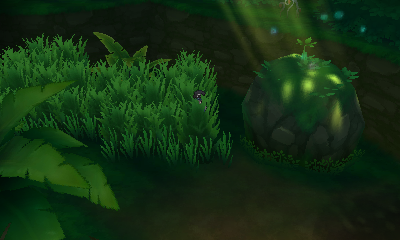 Lush Jungle