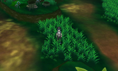Lush Jungle