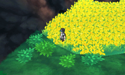 Melemele Meadow