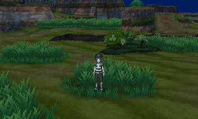 Poni Plains