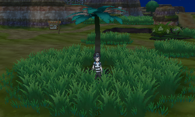 Poni Plains