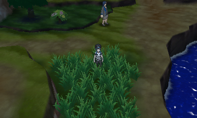 Poni Plains