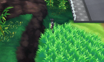 Route 11