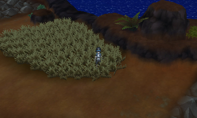 Route 12