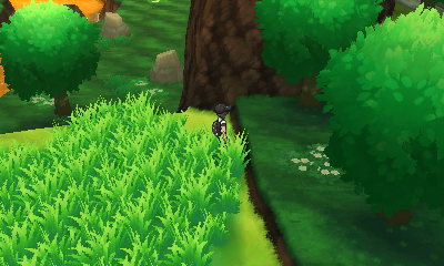 Route 15