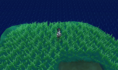 Route 3