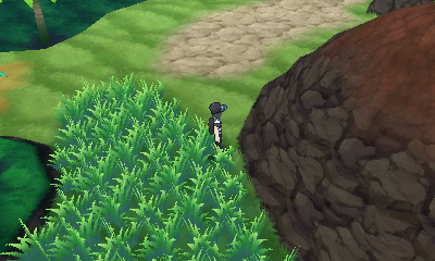 Route 5