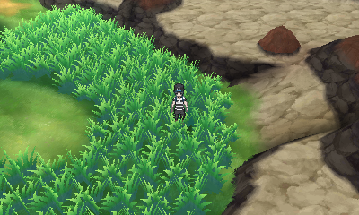 Route 5